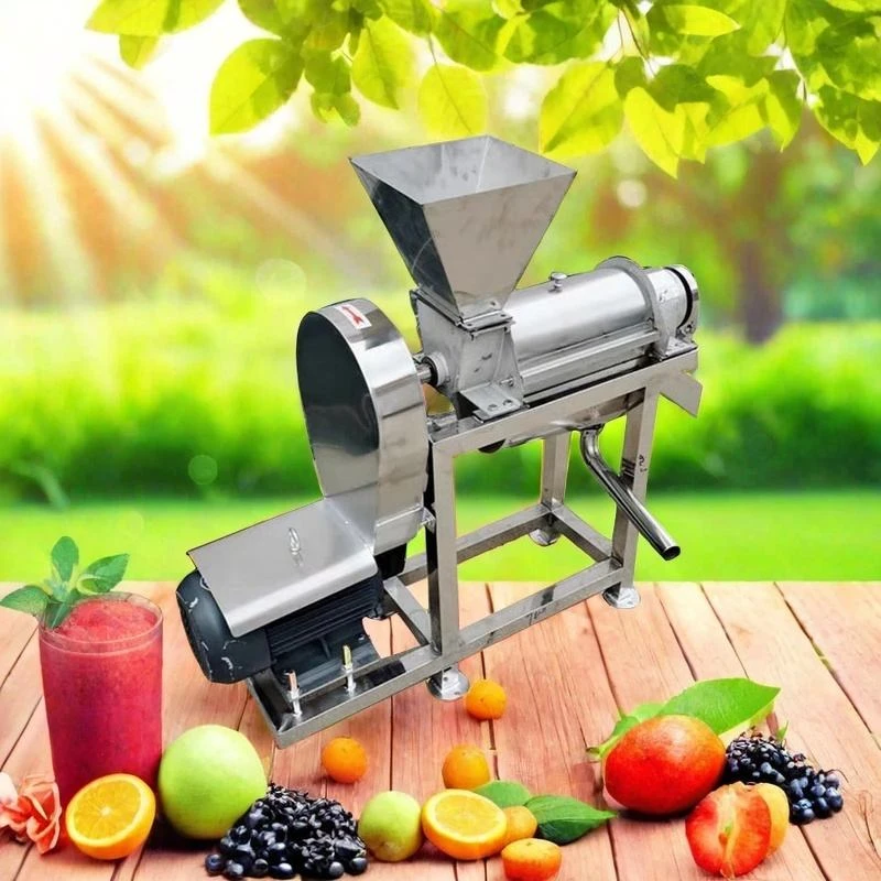 Grape Passion Fruit Juice Making Machine Commercial Carrot Juice Extractor Juicer Machine Ginger Juice Processing Machine