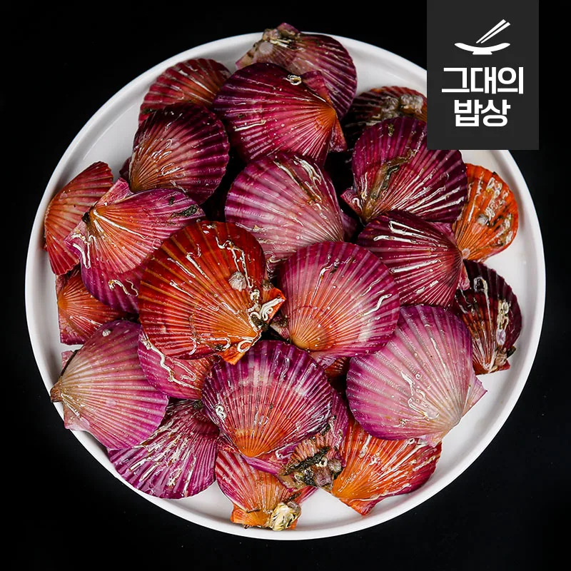 تونغ يونغ-سكالوب أحمر ، 1 ، 25 ميل