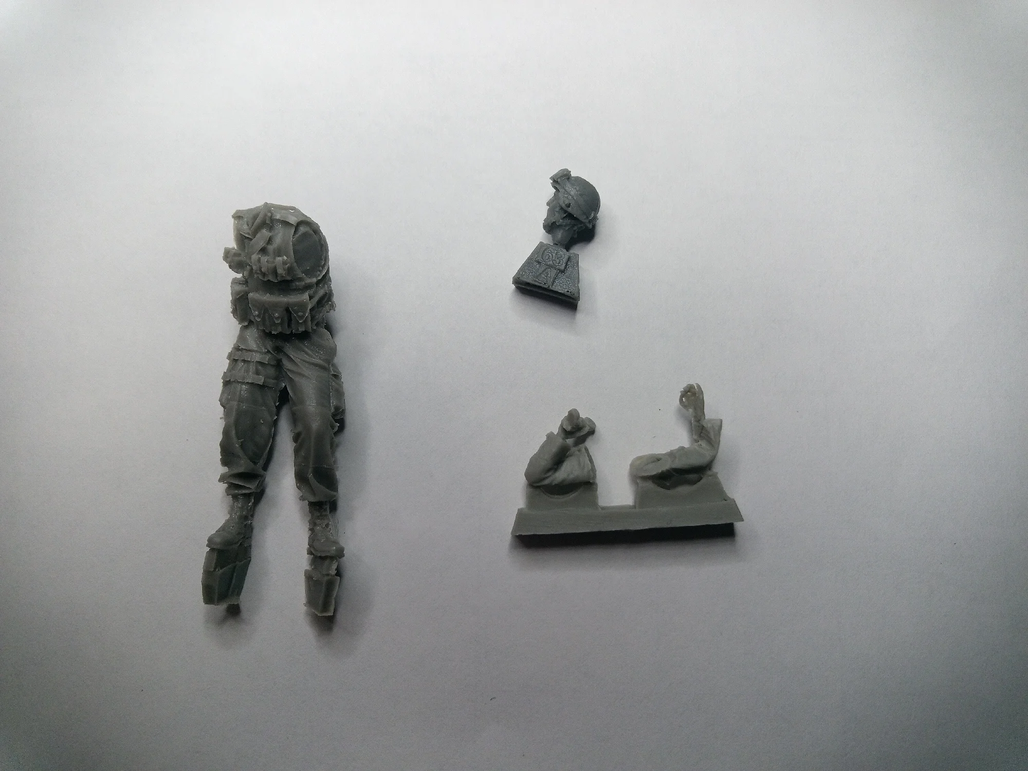 Buyer photo of this resin kit