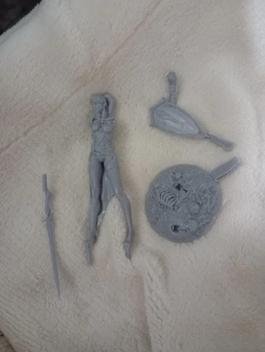 Buyer photo of this resin kit