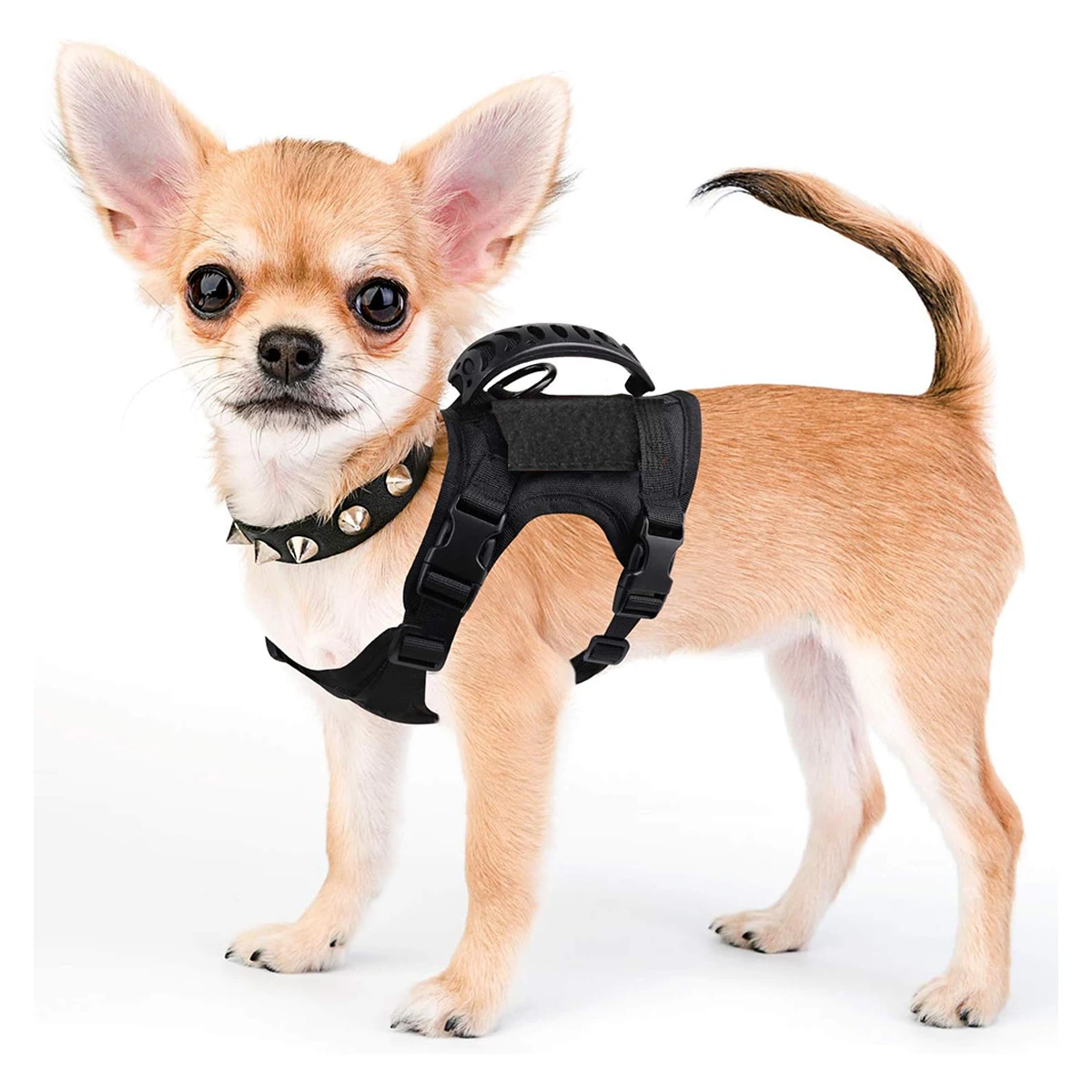 Tactical Small Dog …