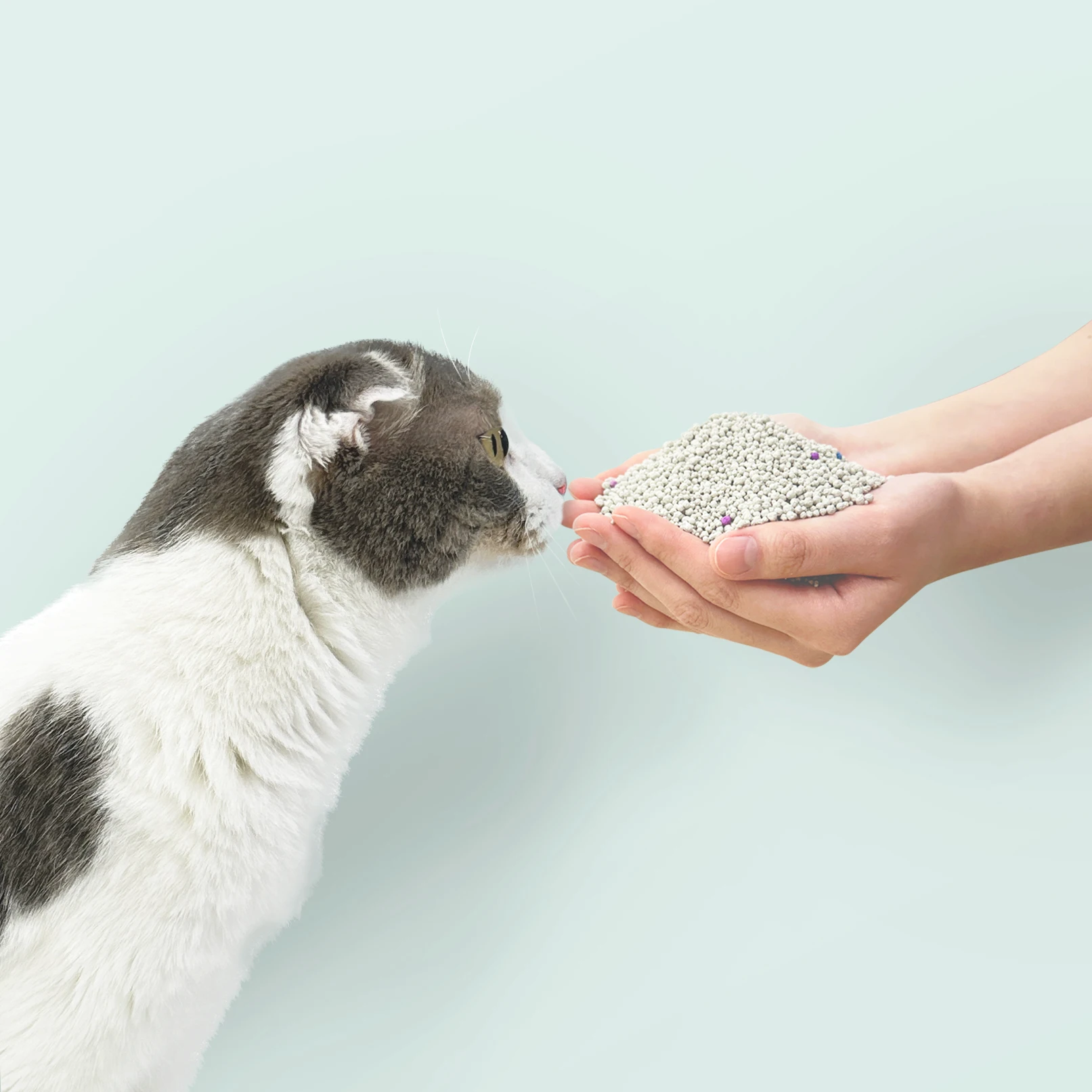 마이티펫 응고력좋은 대용량 고양이모래 벤토나이트 10L*2 무향 - 2