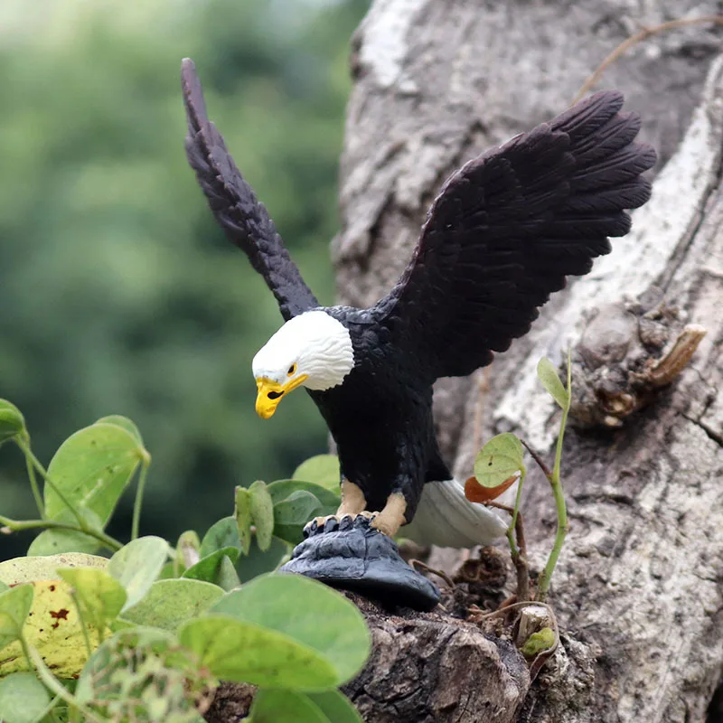 จำลองสัตว์นกนกฮูก Flamingo นกกระจอกเทศ Parrot Eagle Scarlet Macaw ตัวเลขการกระทำนกยูง Toucan Albatross Miniature ของเล่น