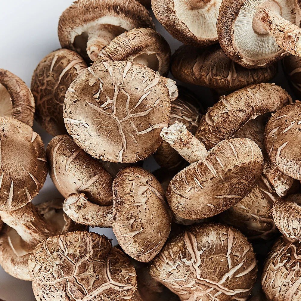 Hongos Shiitake frescos domésticos certificación sin pesticidas, 1 kg