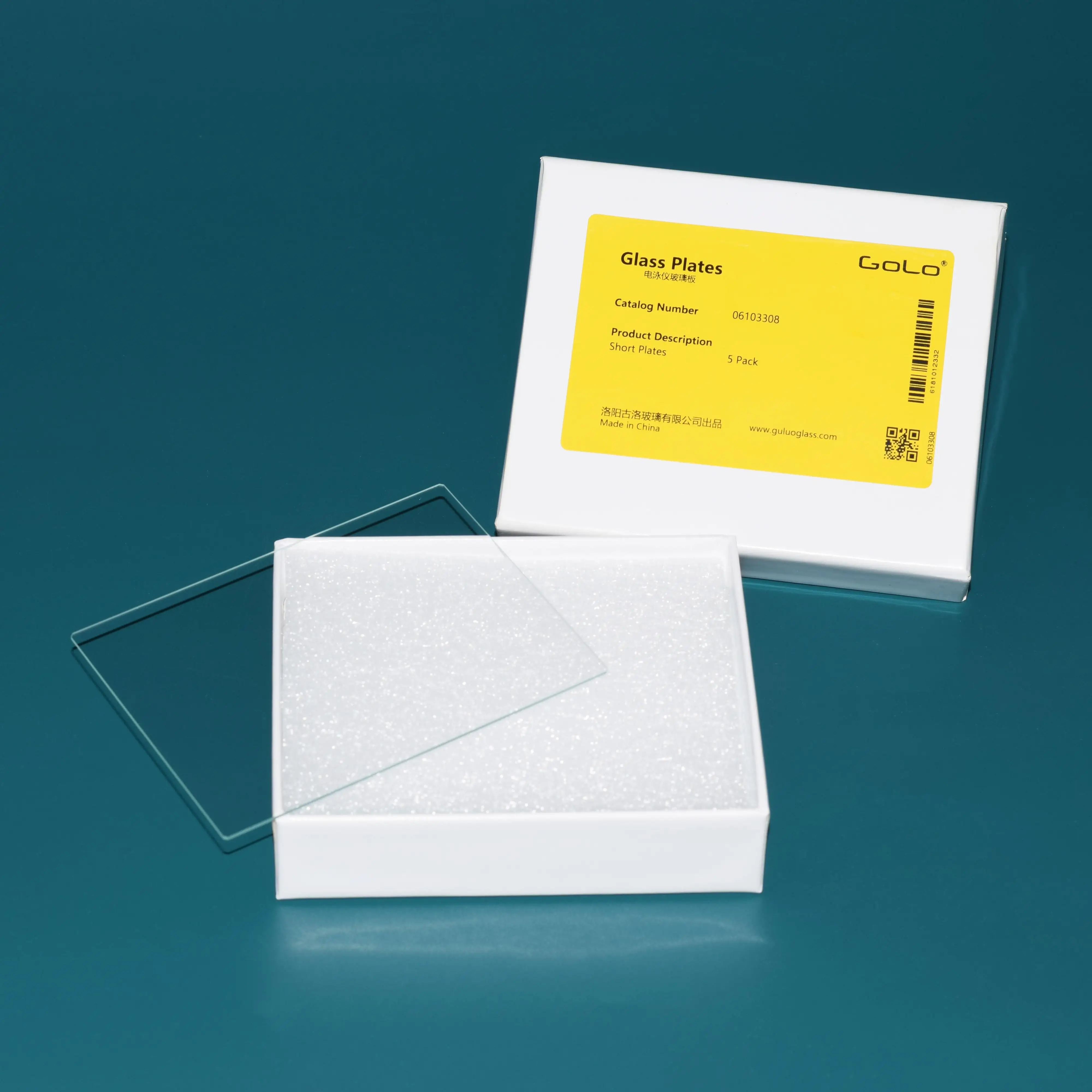 لوحة زجاجية للمحور الكهربائي تحل محل Bio Rad Mini Protean 1653310 1653311 1653312 WB لوحة زجاجية من الجل المطاطي #6