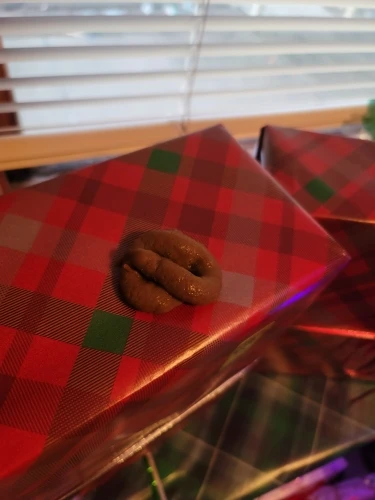 실물 포토 리뷰