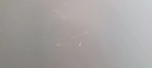 실물 포토 리뷰