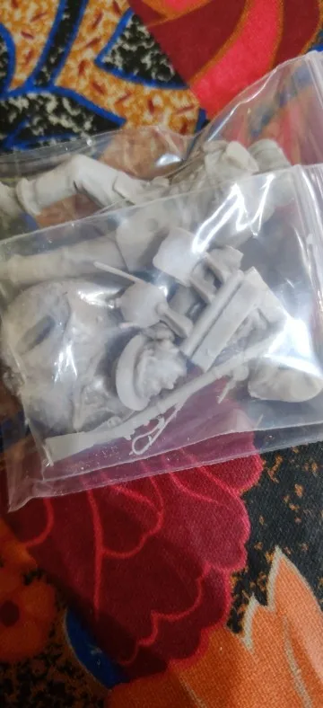 Buyer photo of this resin kit