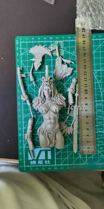 Buyer photo of this resin kit