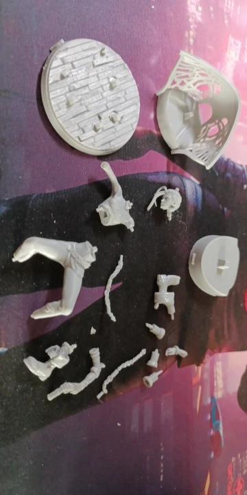 Buyer photo of this resin kit