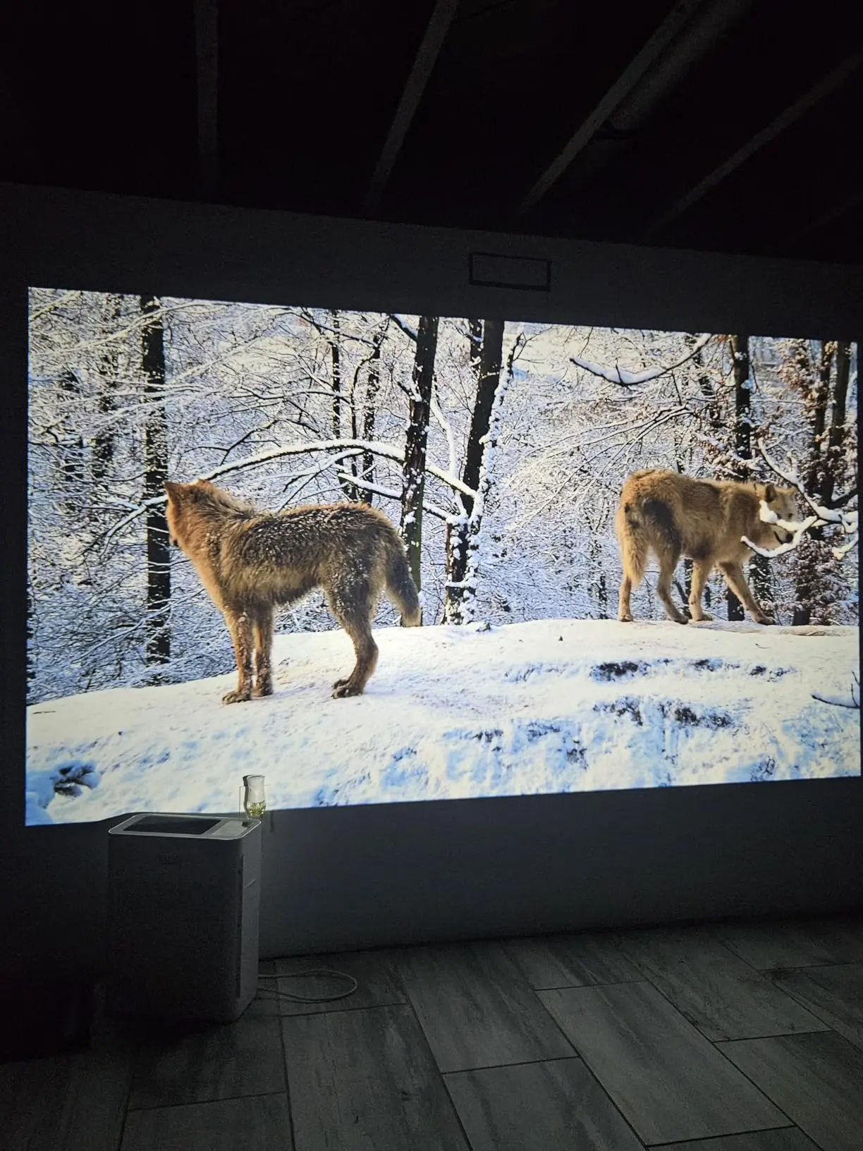 리뷰 사진