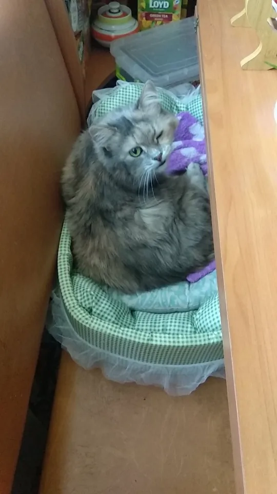 리뷰 사진
