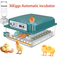 36 Fully Automatic Smart Home Incubator , Equipped with Automatic Water plenishment