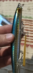 Imagen de reseña 3