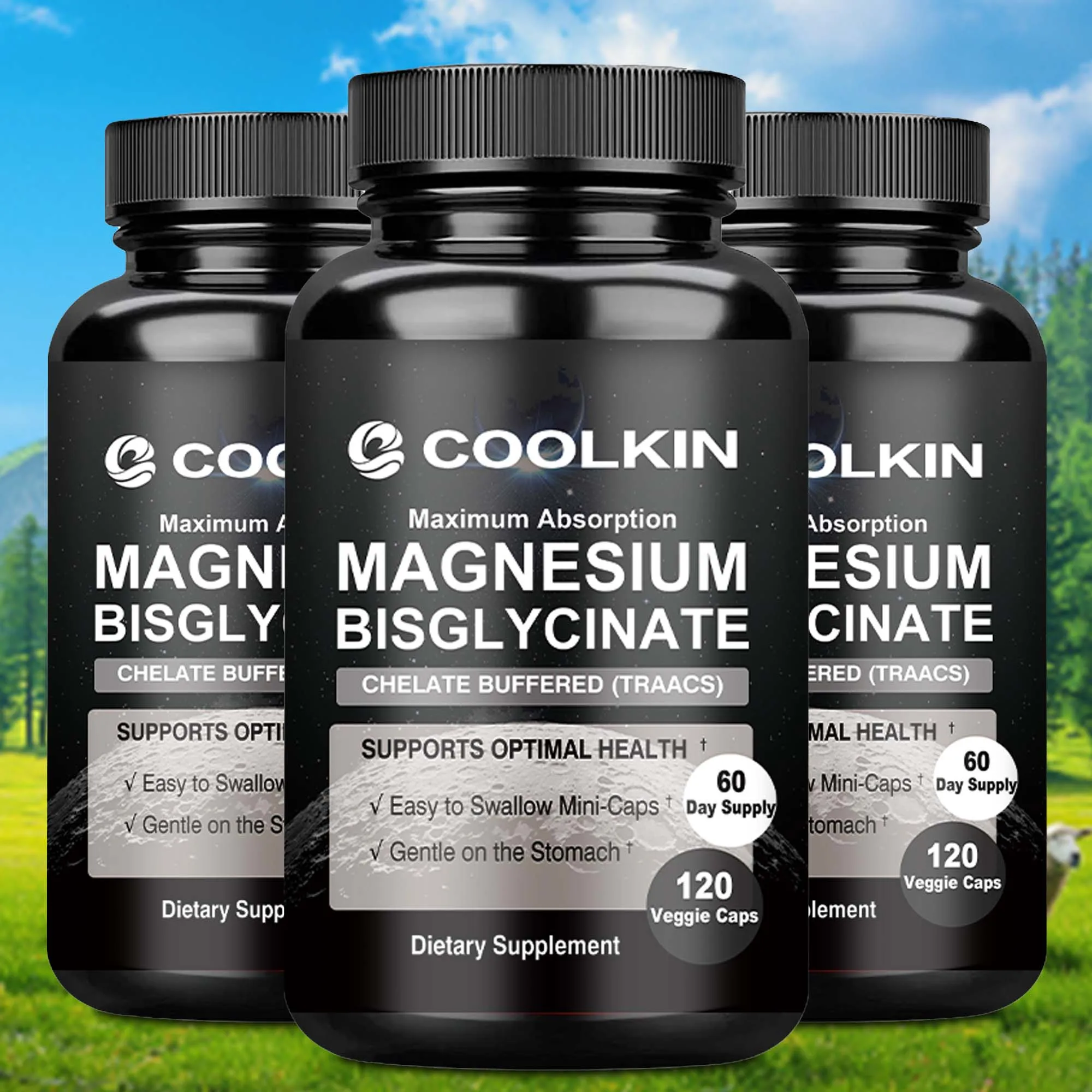 Magnesium Bisglycinate - Provides Energy, Heart, Muscle, Bone and Joint Support, and Boosts Metabolism - 120 Capsules