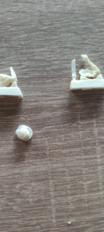 Buyer photo of this resin kit