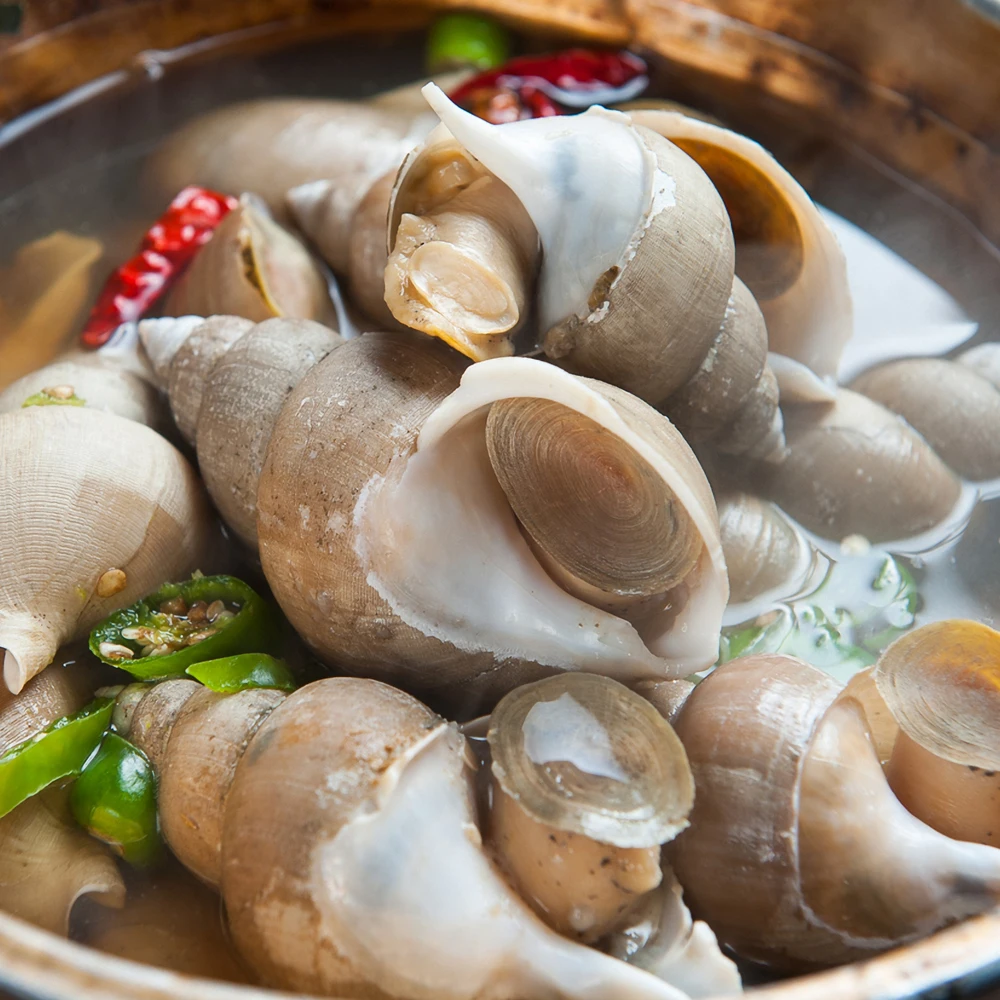 [스테잇홈] 국내산 백고동 백골뱅이 1kg 냉동(대/중/소)