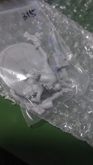 Buyer photo of this resin kit