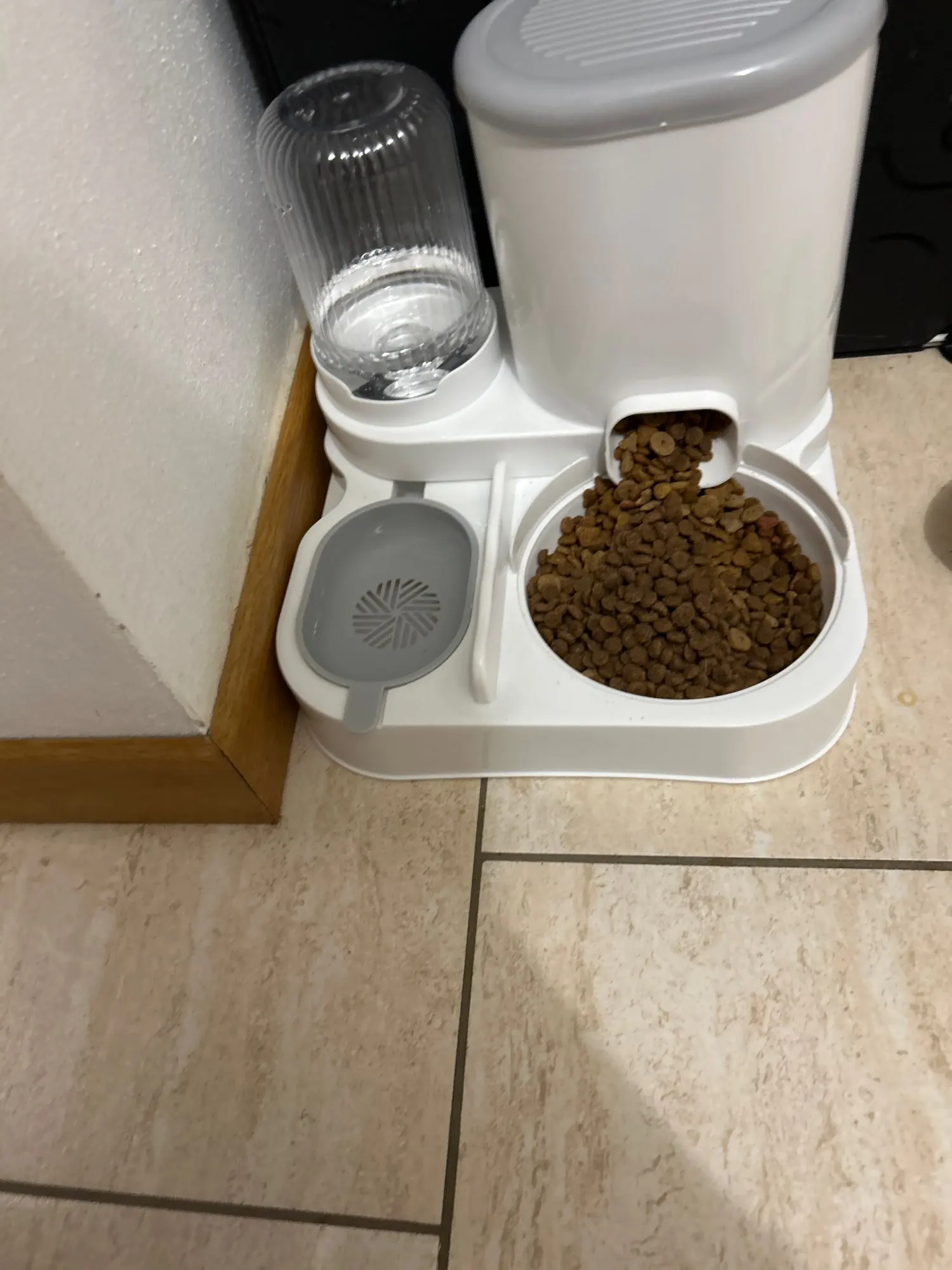 Customer review photo for Dual-Bowl Automatic Cat Feeder for Two Pets