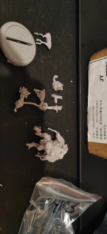 Buyer photo of this resin kit