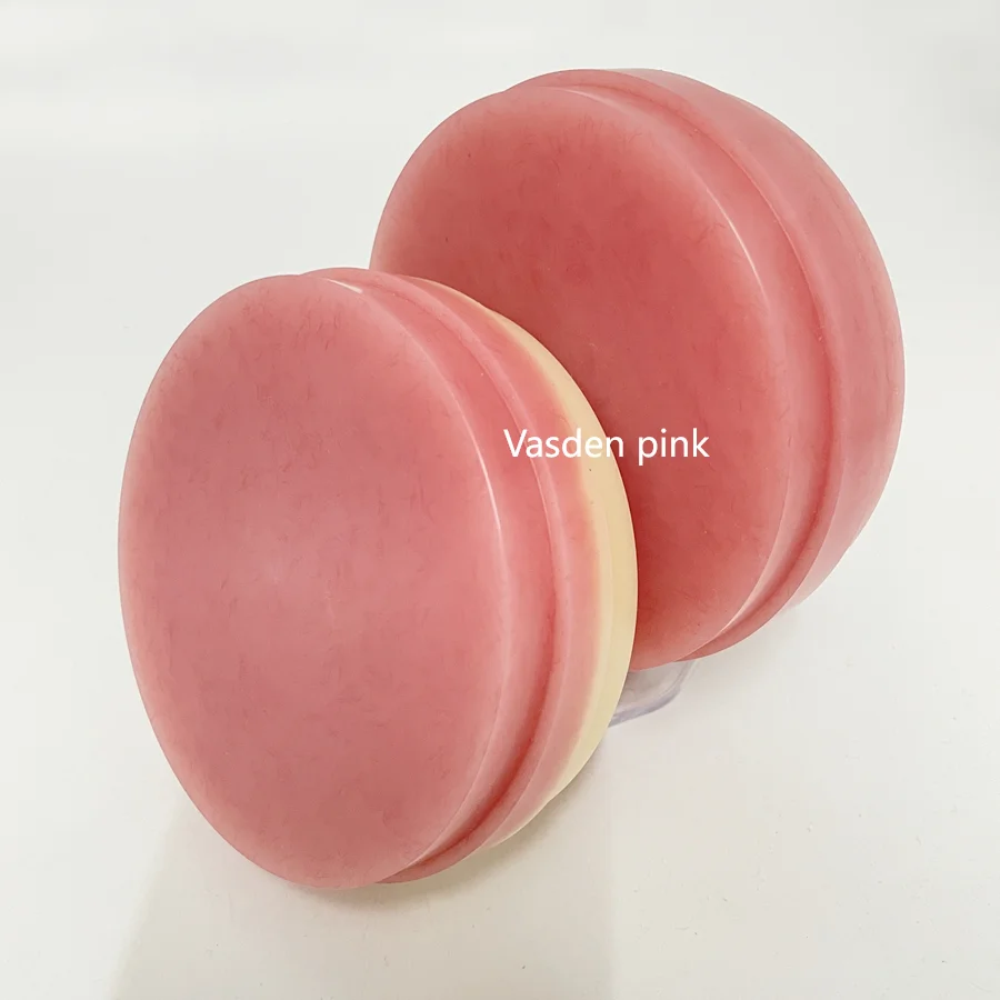 A2 A3 Color CADCAM Full Denture Pink PMMA Disc Dental Material Full Crown Denture