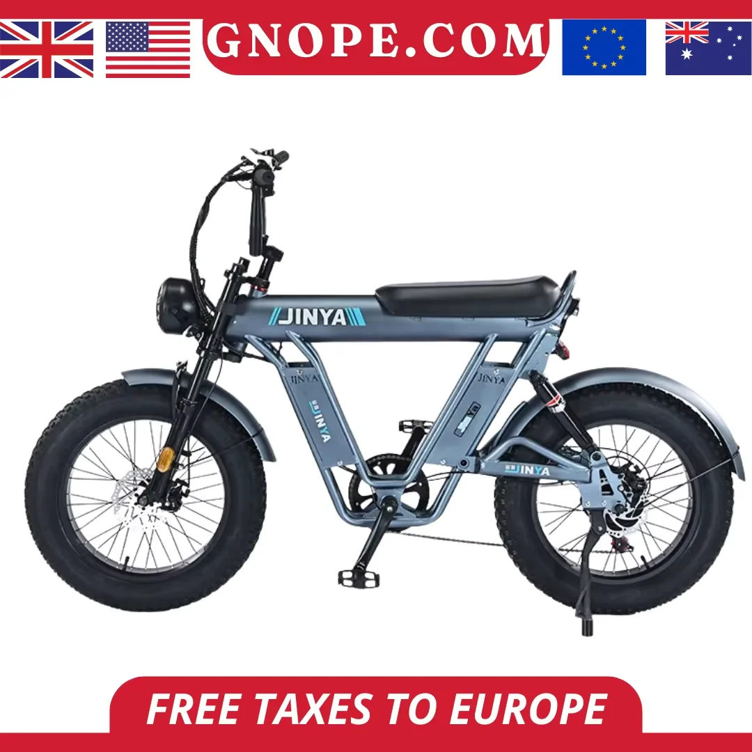 

2025 New Dirt Bikes Bike Mountain Electric Fat Tire Ebike Electric City Bike 48v Electric Sport Lithium Battery 48V 7 Speed