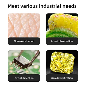 Wi-Fi-USB-tragbares digitales Mikroskop, endoskopische Kamera mit 50 bis 1000x drahtloser Expansion mit 8 LED für Android-iPhone 6 Veterinär des Hauptverkaufsmikroskops - №2
