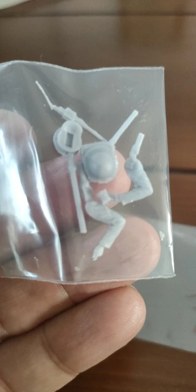 Buyer photo of this resin kit
