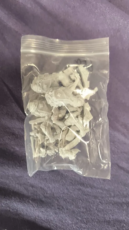 Buyer photo of this resin kit