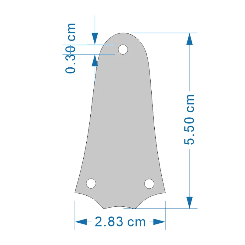 Three-Hole Truss Rod Cover — Engraved with Nordic Motifs — Guitar Nameplate