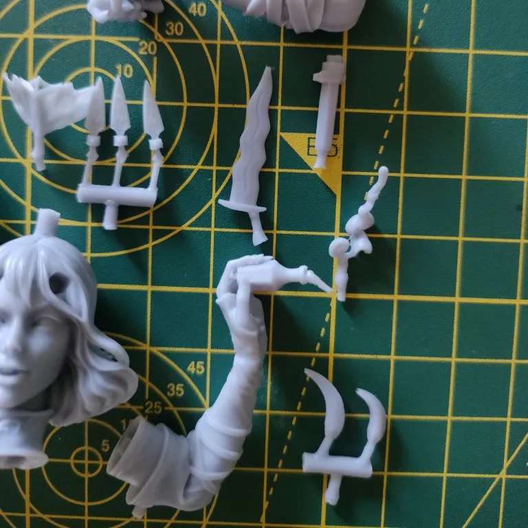 Buyer photo of this resin kit