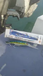 Imagen de reseña 1