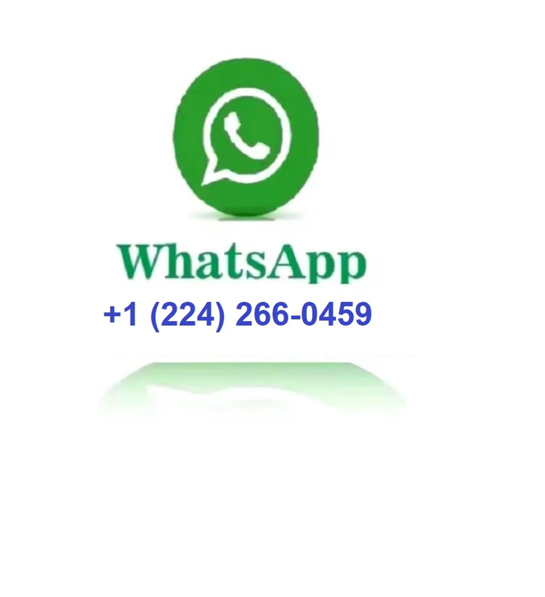 Système professionnel de gestion de haut-parleurs de processeur audio numérique