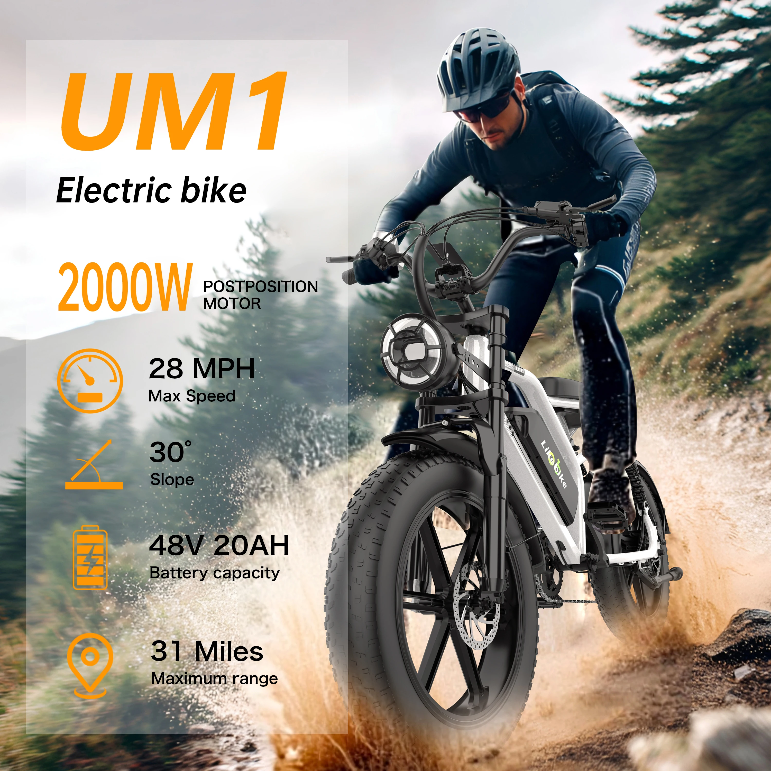 UM1 Electric Bike F…