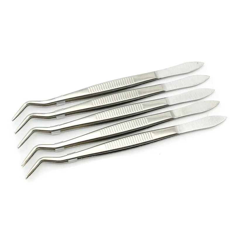 5 sztuk 16cm pęseta dentystyczna ze stali nierdzewnej chirurgiczna ząbkowana zakrzywiona pęseta szczypce kleszcze pielęgnacja jamy ustnej dentysta laboratorium instrument narzędzia — zdjęcie 2