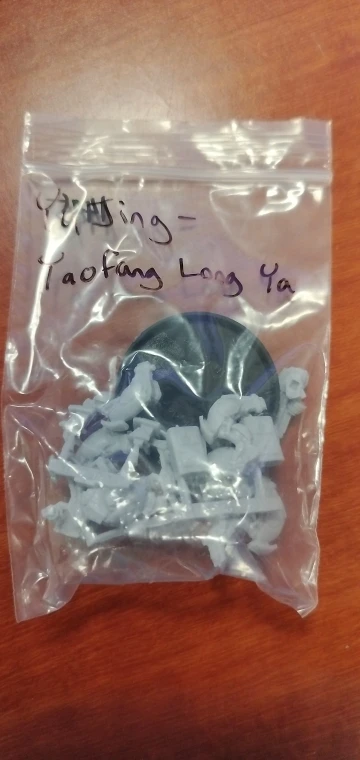 Buyer photo of this resin kit