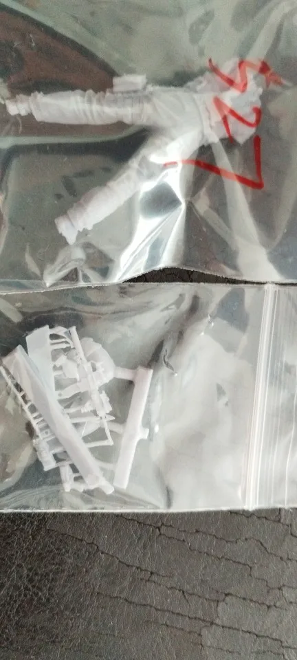 Buyer photo of this resin kit