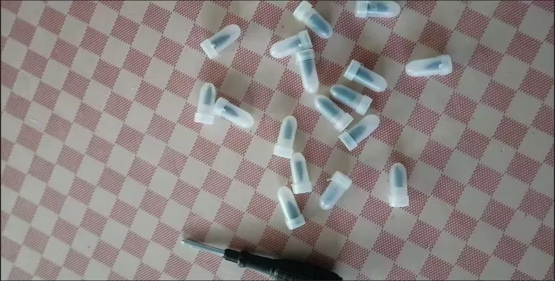 리뷰 사진