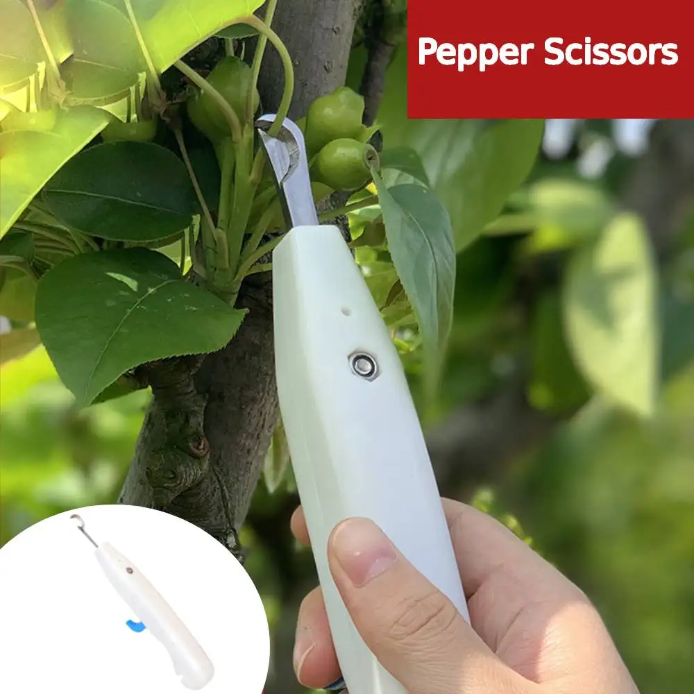 

Pepper Scissors Garden Pruning Small Fruit Vegetable Pepper Picking Tool Portable Plant Trim Potted Chili Outdoor Flower Picking