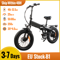B1 Folding Electric Bike 20 Inch 48V 12.5Ah 600Wh All Terrain Fat E Bike 7 Speeds Power-assisted Electric Bicycles Range 50-80km