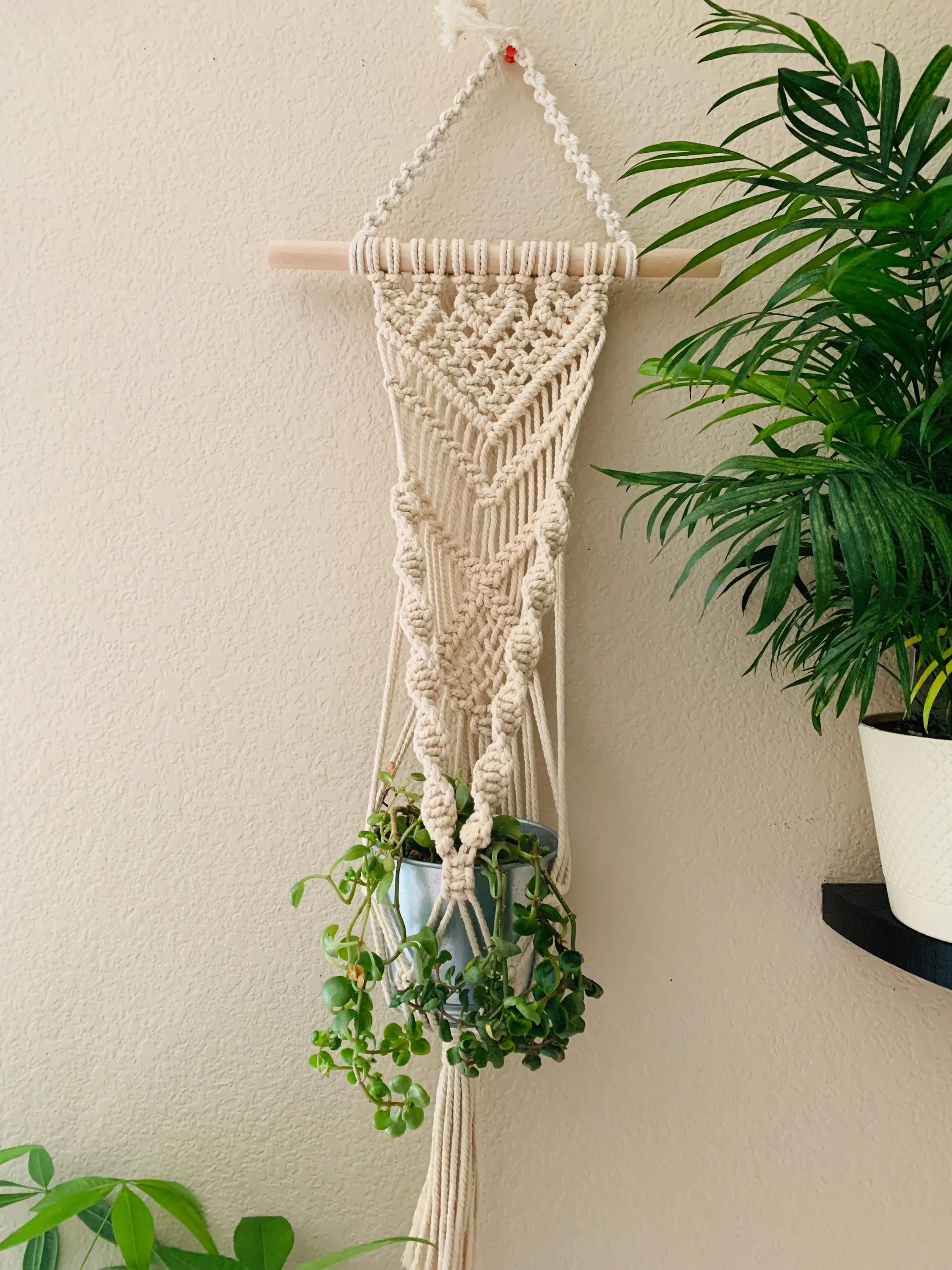 Indoor & Outdoor Macrame Plant Hanger, Patio Décor, Boho, Window and Ceiling Plant Hanger, Display Hanging Flower and Pot Plant