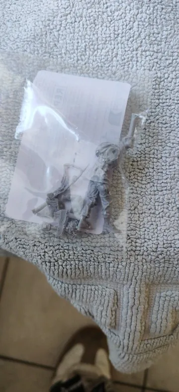 Buyer photo of this resin kit
