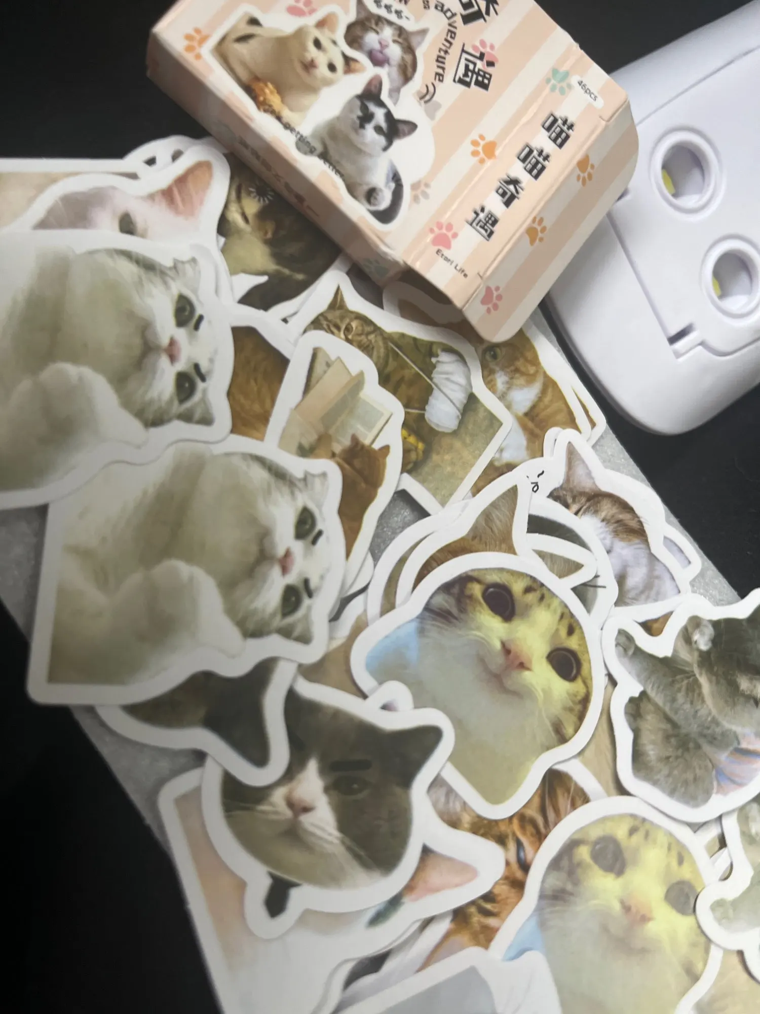 리뷰 사진