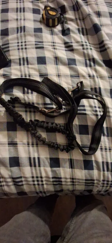 Customer review photo for Hands-Free Bungee Dog Leash with Adjustable Waist Belt