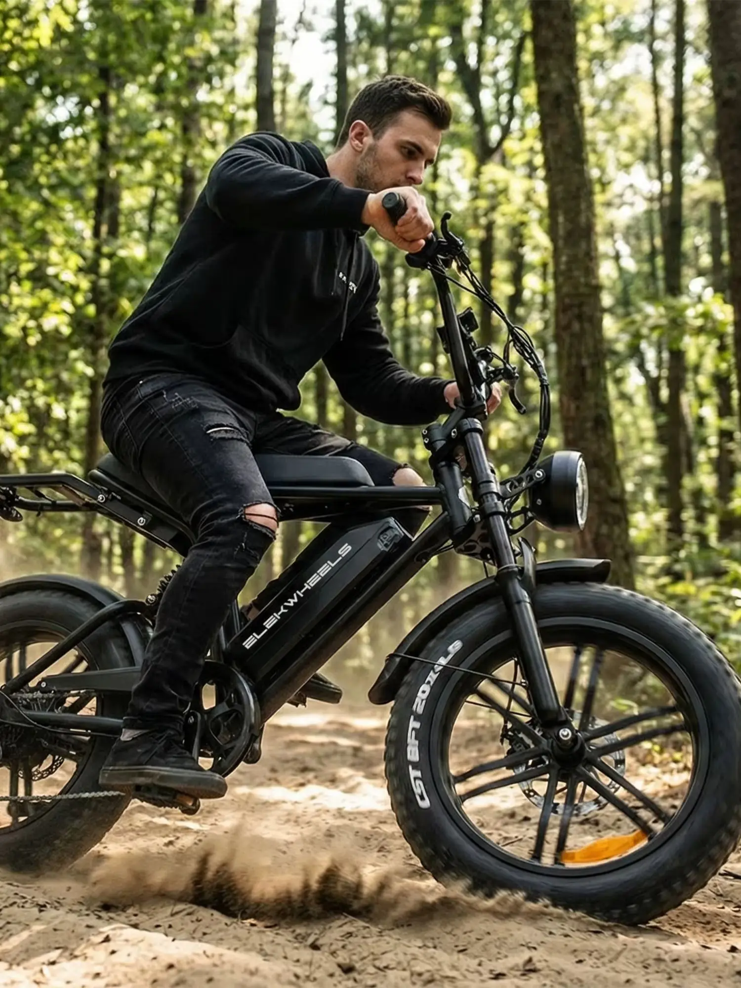 Elektrische fiets voor volwassenen 20×4,0", 250W motor, 48V 15Ah accu, 7-versnellings stads e-bike met LCD-scherm en schijfremmen, damesmodel - afbeelding 2