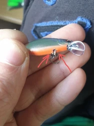Imagen de reseña 4