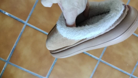 실물 포토 리뷰