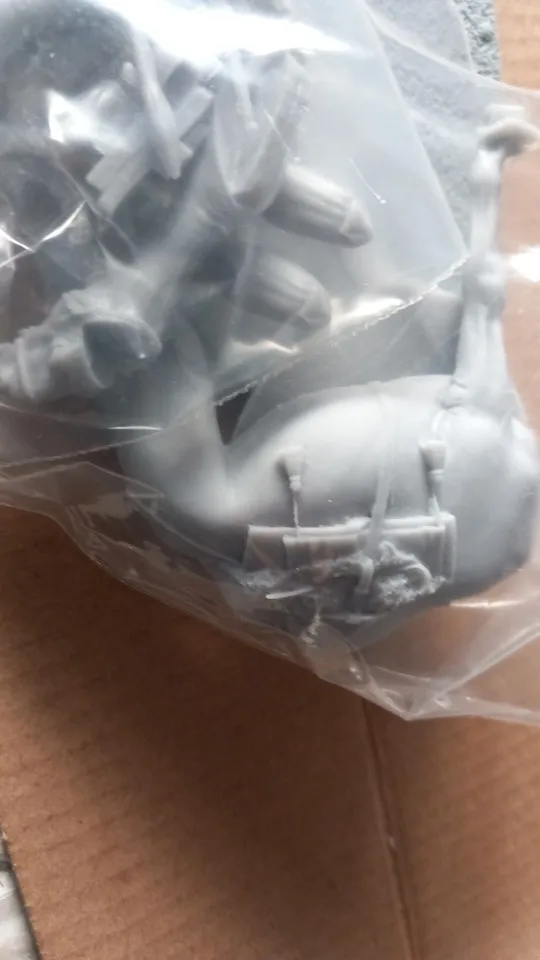 Buyer photo of this resin kit