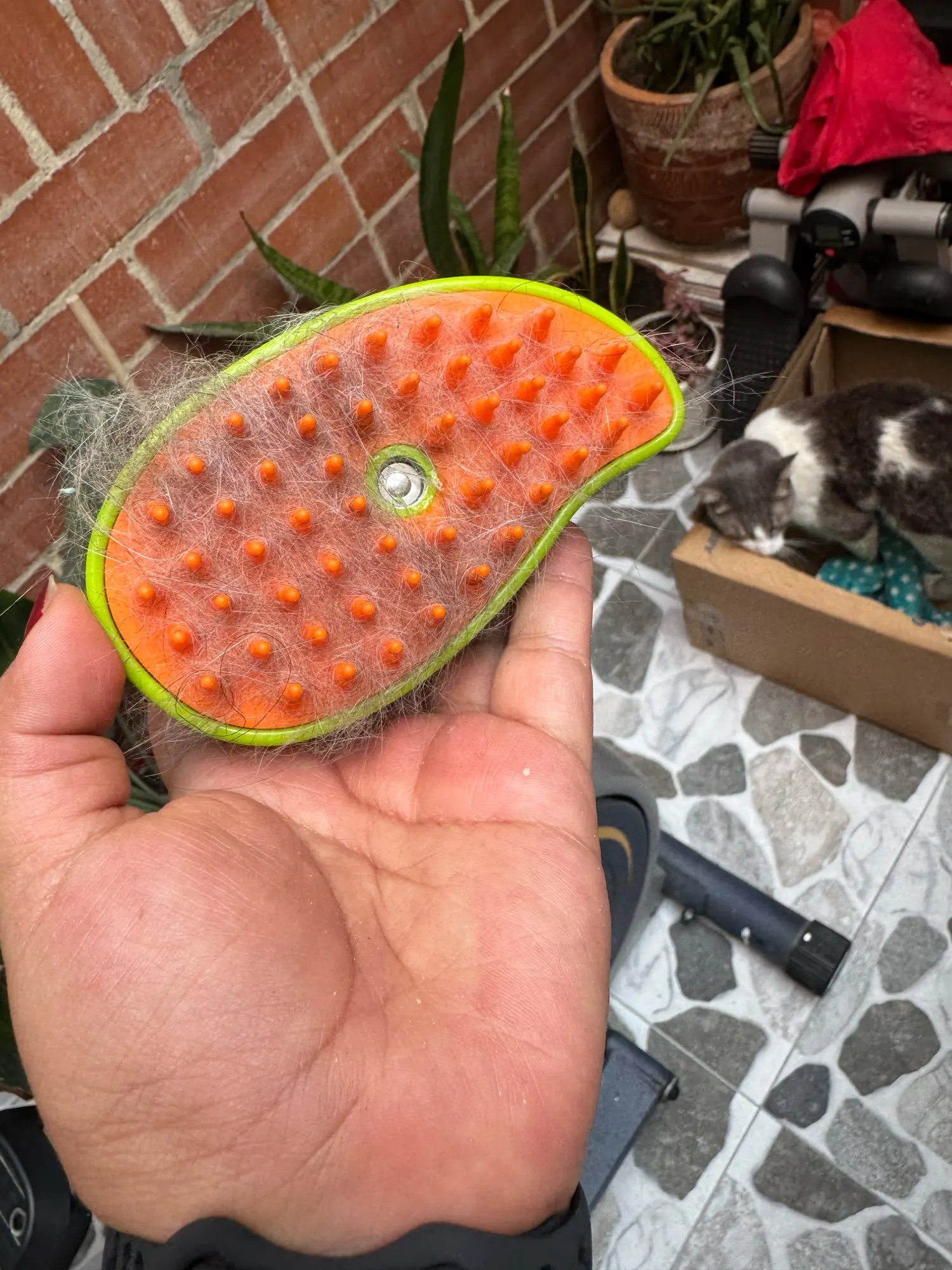foto real del comprador