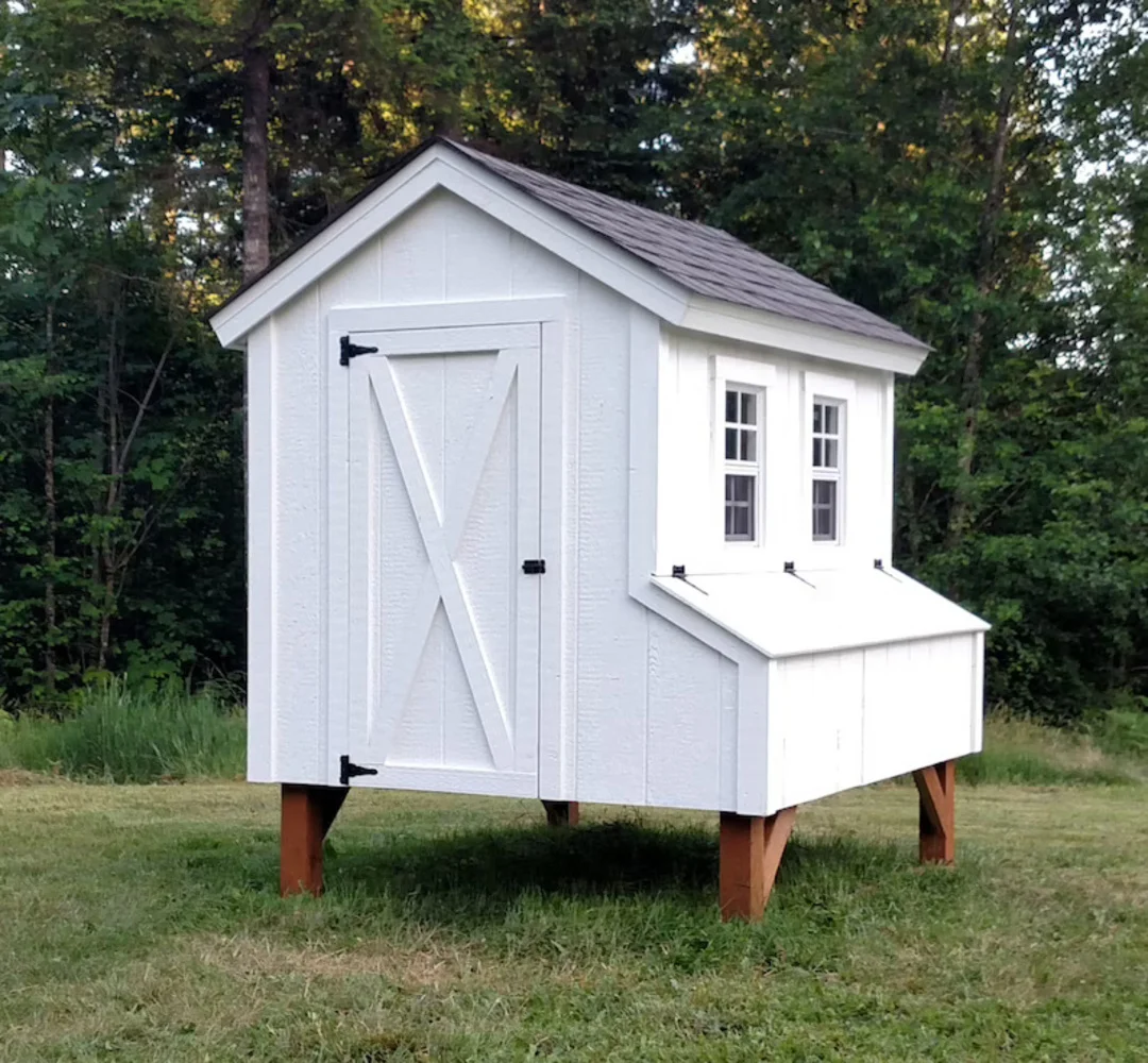 

5x6 Chicken Coop Plans for 12 Chickens | DIY Backyard Coop